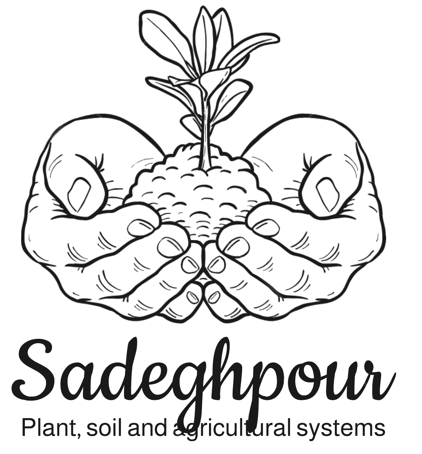 Sadeghpour Lab